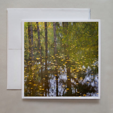 This photograph called "The Last of the Beech Along a Lonely Pond" depicts yellow beech leaves floating on a pond with the abstract trees reflections by photographer Judy Harrison Cochand.