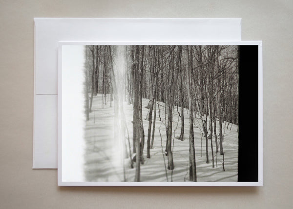 The black and white winter photograph of trees blanketed with snow was captured on the film Pentax ME Super camera and re-photographed digitally.  The process distorts the original negative, giving strange and exciting effects.  Photographer Caley Taylor
